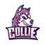 新竹可利工程排球隊 COLLIE ENGINEERS Volleyball - 首頁