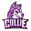新竹可利工程排球隊 COLLIE ENGINEER Volleyball - 首頁